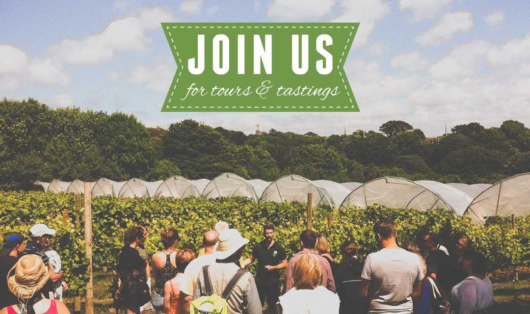 Vineyard Tours & Tasting are starting